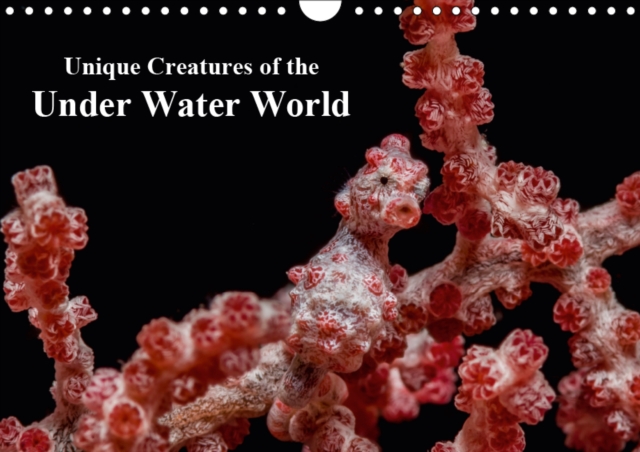 Unique Creatures of the Under Water World 2019 : Underwater photographs of unique and colorful sea creatures, Calendar Book