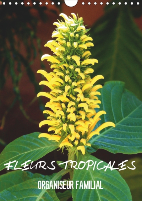 Fleurs tropicales / organiseur familial 2019 : La splendeur des fleurs tropicales magnifiques dans leur habitat naturel, Calendar Book