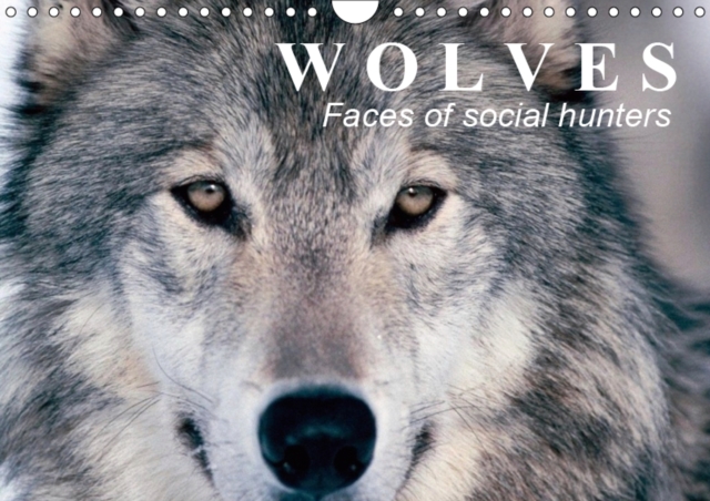 Wolves * Faces of social hunters 2019 : Fascinating creatures between truth and fairy tales, Calendar Book