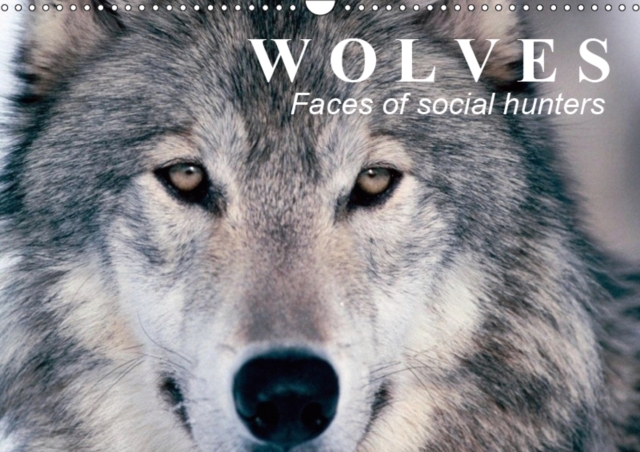 Wolves * Faces of social hunters 2019 : Fascinating creatures between truth and fairy tales, Calendar Book