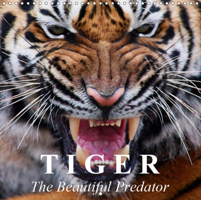 Tiger * The Beautiful Predator 2019 : One of the most majestic animals in the entire world., Calendar Book