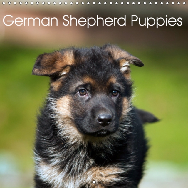 German Shepherd Puppies 2019 : Who can resist their magic?, Calendar Book
