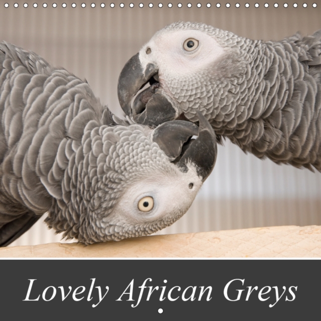 Lovely African Greys 2019 : Unique photos of beautiful grey parrots, Calendar Book