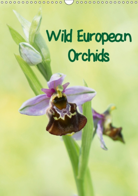 Wild European Orchids 2019 : Enjoy the beauty of filigree native orchids., Calendar Book