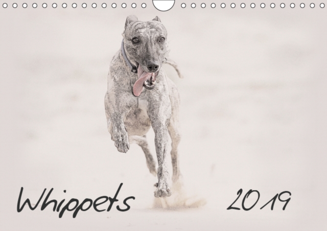 Whippets 2019 2019 : This high-class wall-calendar presents impressive images of the Whippets in all its beauty., Calendar Book