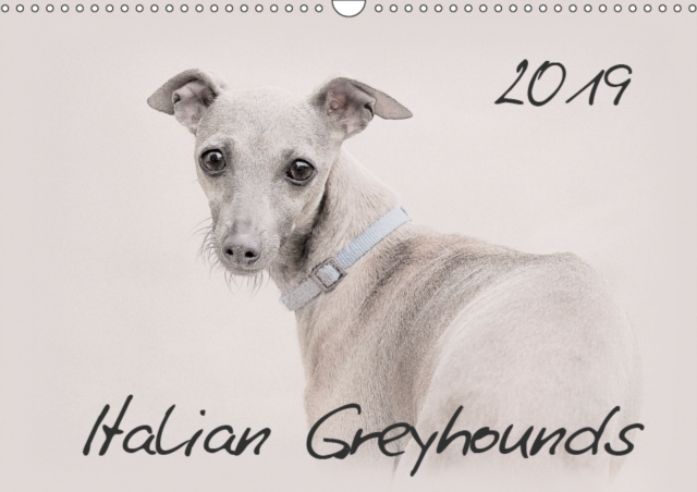 Italian Greyhounds 2019 2019 : This high-class wall-calendar presents impressive images of the Italian Greyhounds in all their beauty., Calendar Book