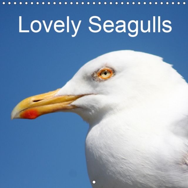 Lovely Seagulls 2019 : Ground breeders, Calendar Book