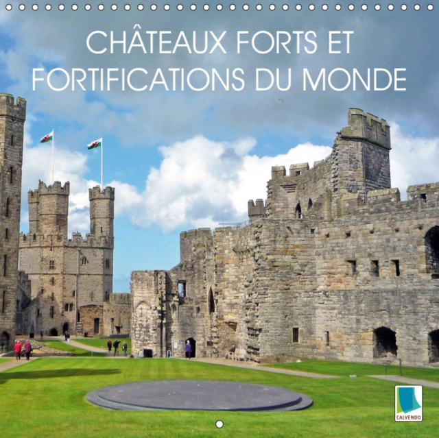 Chateaux forts et fortifications du monde 2019 : Chateaux forts et fortifications - Lieux defensifs et de villegiature, Calendar Book