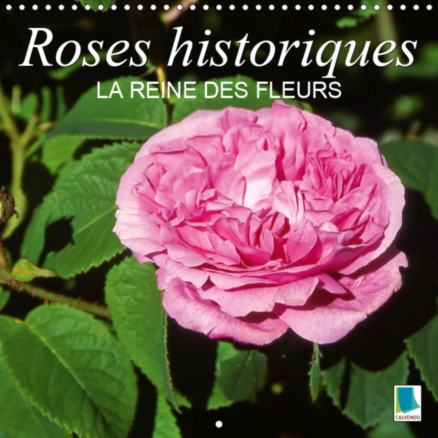 Roses historiques - la Reine des fleurs 2019 : Beaute, senteur et une certaine nostalgie - les roses historiques, Calendar Book