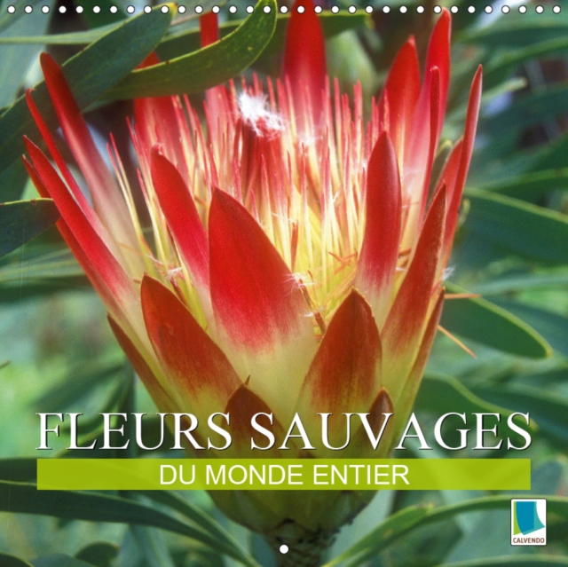 Fleurs sauvages du monde entier 2019 : Les parentes sauvages de nos fleurs de jardin et de nos fleurs en pot, Calendar Book