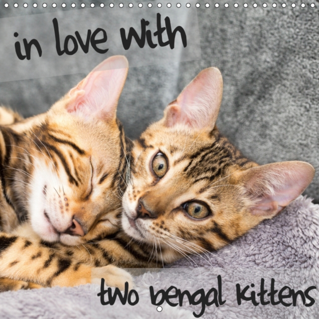 in love with 2 bengal kittens 2019 : Two kittens of a beautiful breed will bring you joy the whole year., Calendar Book