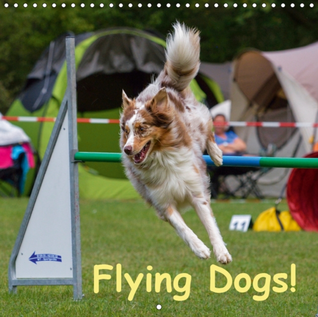 Flying Dogs! 2019 : Agility ... a dog sport introducing speed and power, Calendar Book