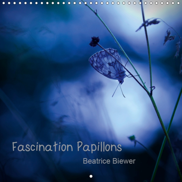 Fascination Papillons 2019 : Le monde fascinant des papillons, Calendar Book