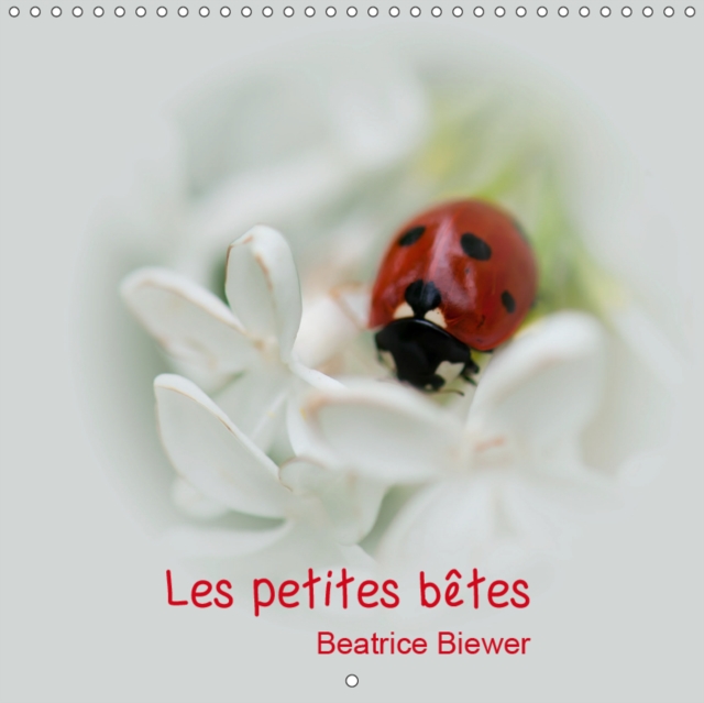Les petites betes 2019 : Les jolies petites betes de nos jardins, Calendar Book