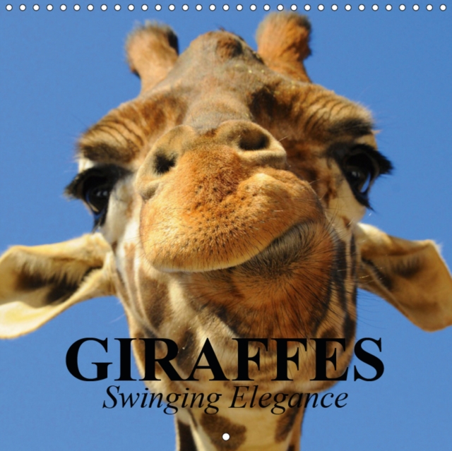 Giraffes - Swinging Elegance 2019 : The world's tallest mammal from Africa, Calendar Book