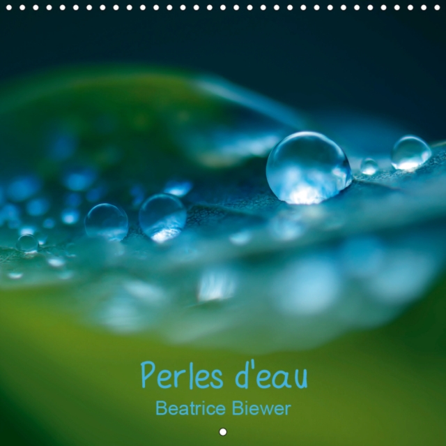 Perles d'eau 2019 : Des jolies gouttes d'eau telles des perles, Calendar Book