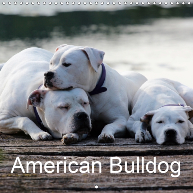 American Bulldog 2019 : True grit. True devotion. True love., Calendar Book