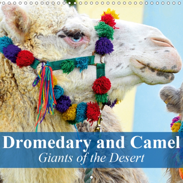Dromedary and Camel - Giants of the Desert 2019 : Frugal giants in the desert sand, Calendar Book