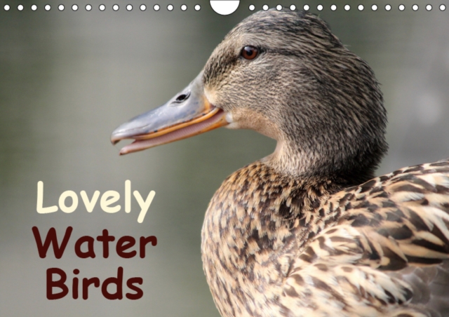 Lovely Water Birds 2019 : Expressive moments of ducks, swans and wild geese, Calendar Book