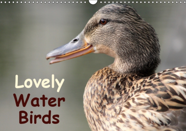 Lovely Water Birds 2019 : Expressive moments of ducks, swans and wild geese, Calendar Book