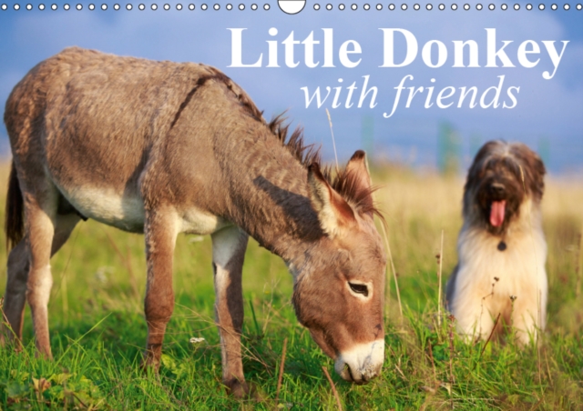 Little Donkey with Friends 2019 : Sweet donkey with his lovley Friends, Calendar Book