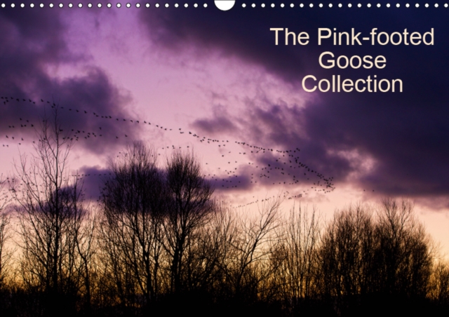 The Pinkfoot Goose Collection 2019 : Collection of colourful images from the life of Pink-footed Geese., Calendar Book