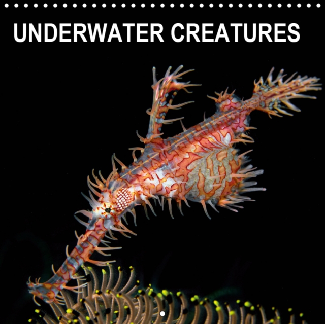 UNDERWATER CREATURES 2019 : Monthly calendar with amazing underwater photographs., Calendar Book