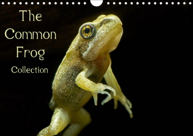 The Common Frog Collection 2019 : Informed collection of images from the lifecycle of the Common frog., Calendar Book