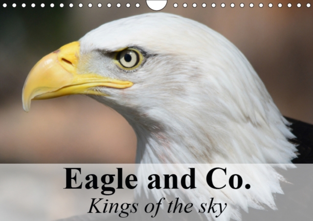 Eagle and Co. Kings of the Sky 2019 : Eagles are admired the world over as living symbols of power and freedom, Calendar Book