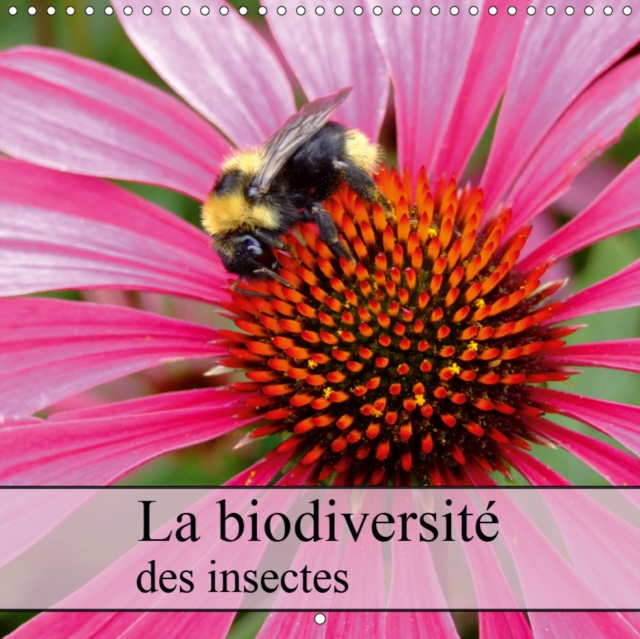 La biodiversite des insectes 2019 : Plan serre d'insectes de la photographe, Dagmar Laimgruber, Calendar Book