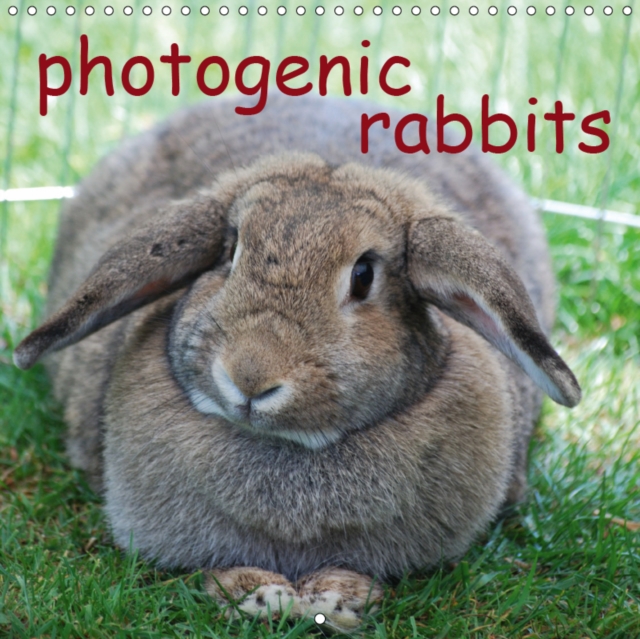 photogenic rabbits 2019 : an amusing planner about our favorite pets, Calendar Book