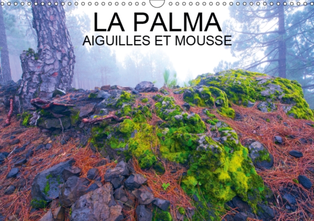 LA PALMA AIGUILLES ET MOUSSES 2019 : Aiguilles et mousses des pinedes de l'ile de La palma, dans l'archipel des Canaries, Calendar Book