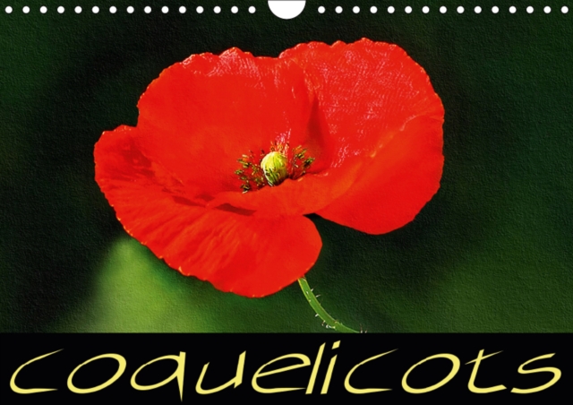 Coquelicots 2019 : Serie de tableaux de fleurs de coquelicot, Calendar Book