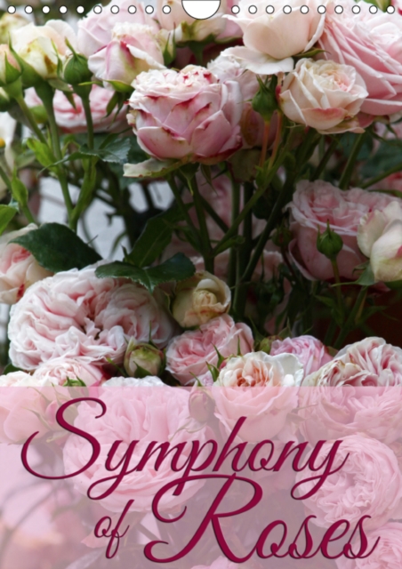Symphony of Roses 2019 : Enjoy 12 wonderful portraits of roses, Calendar Book