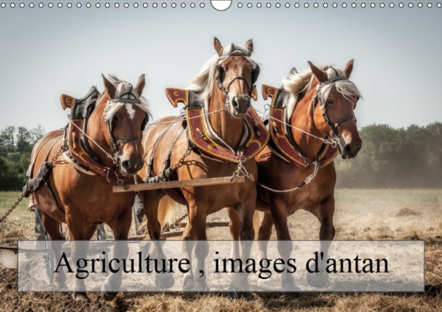 Agriculture, images d'antan 2019 : Des images qui restent dans nos memoires, Calendar Book