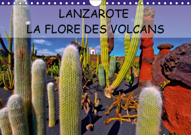 LANZAROTE LA FLORE DES VOLCANS 2019 : LANZAROTE DES CHAMPS DE LAVE NATURELLEMENT FERTILES, Calendar Book