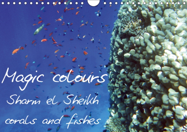 Magic colours Sharm el Sheikh corals and fishes 2019 : Pictures of Sharm el Sheikh coral reef (Red Sea)., Calendar Book