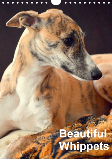 Beautiful Whippets 2019 : Whippets are small english Sighthounds, Calendar Book