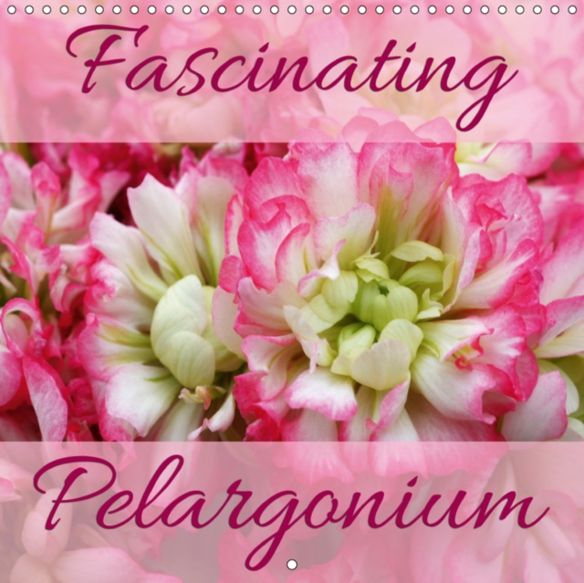 Fascinating Pelargonium 2019 : Discover and enjoy 12 fascinating Pelargonium hybrids, Calendar Book