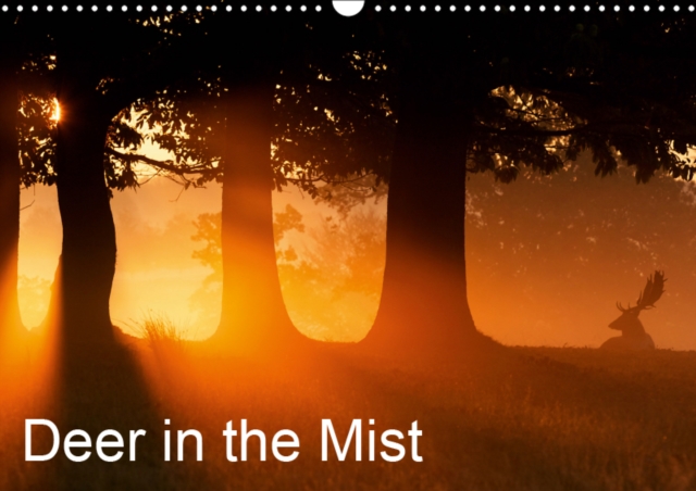 Deer in the Mist 2019 : Photos of Deer in the Mist, Calendar Book