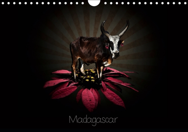 Madagascar 2019 : Photographies de Madagascar, Calendar Book
