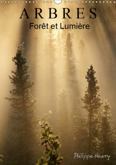 ARBRES. Foret et Lumiere 2019 : Des arbres dans toute leur beaute., Calendar Book