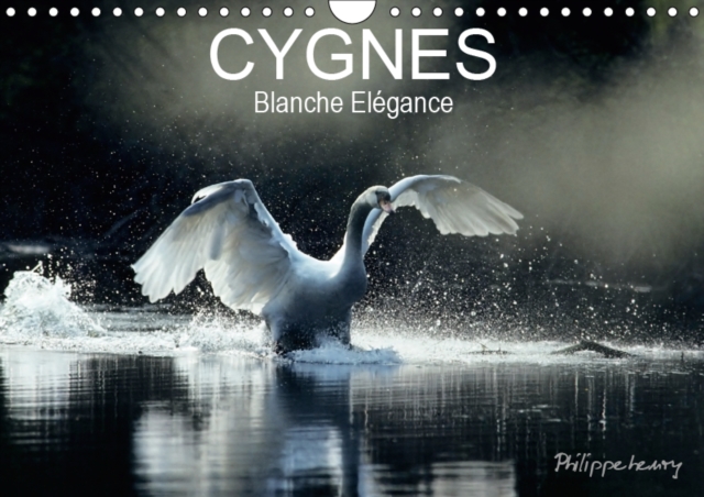 CYGNES. Blanche Elegance 2019 : Les plus belles photos de cygnes prises dans des regions sauvages de France et de Finlande., Calendar Book