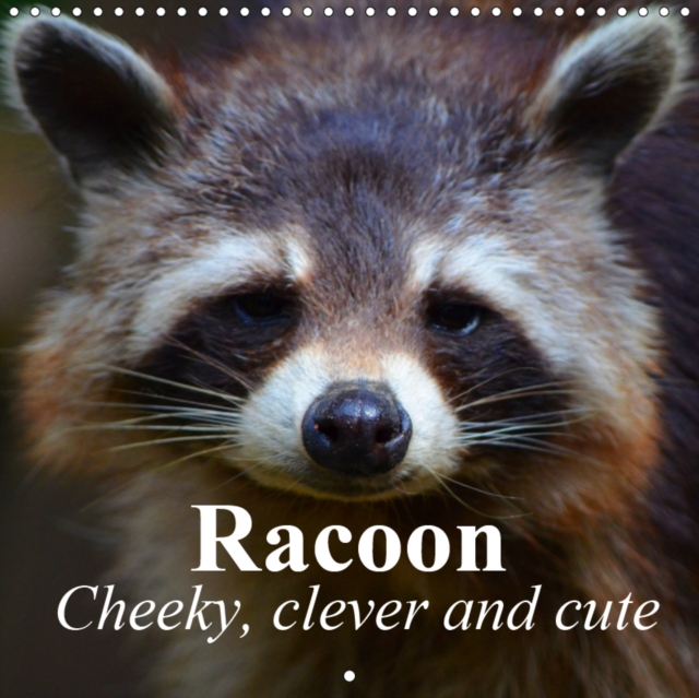 Racoon - Cheeky, clever and cute 2019 : Extremely intelligent animals, Calendar Book