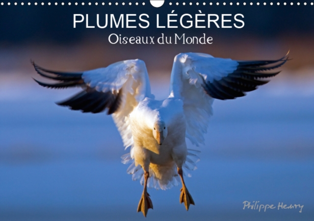 PLUMES LEGERES. Oiseaux du Monde 2019 : Treize photos d'oiseaux en action, photographies avec l'oeil d'artiste de philippe Henry, Calendar Book