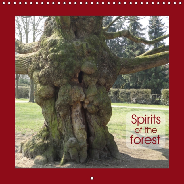 Spirits of the forest 2019 : Little monsters, story-teller or other mysterious figures - these are spirits of the forest, Calendar Book