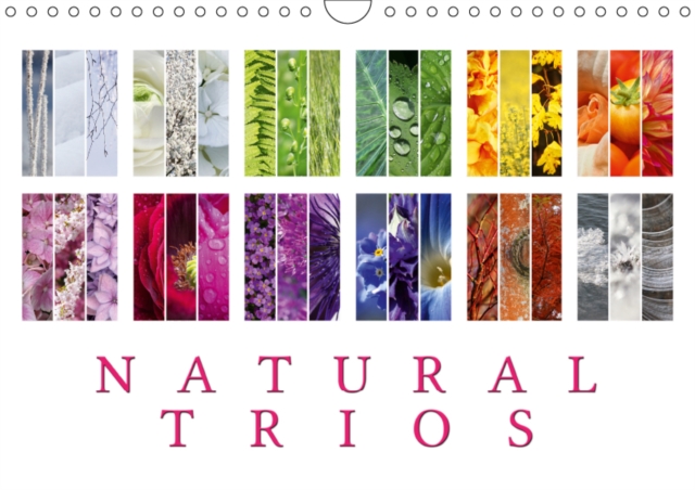 Natural Trios 2019 : Enjoy the beauty of natural colour trios, Calendar Book
