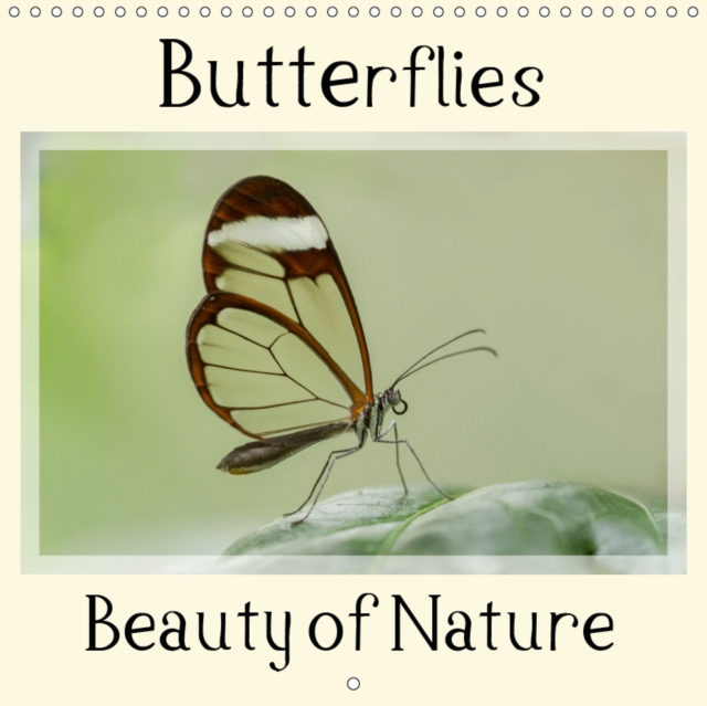 Butterflies Beauty of Nature 2019 : The beautiful colours of butterflies, Calendar Book