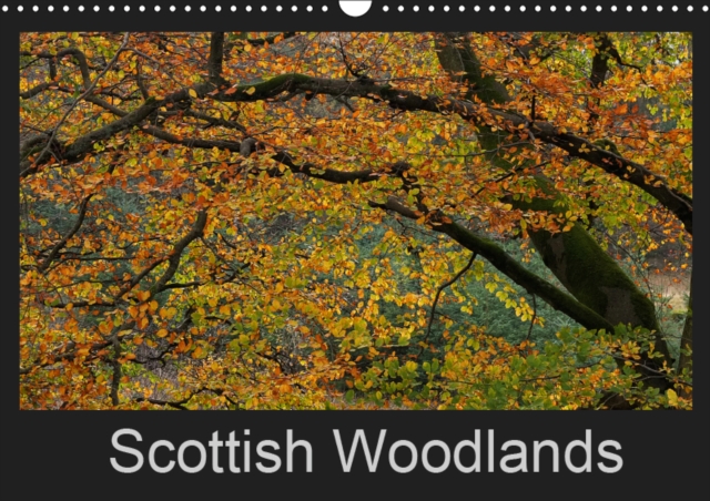 Scottish Woodlands 2019 : Stunning photography capturing the beauty of trees, Calendar Book