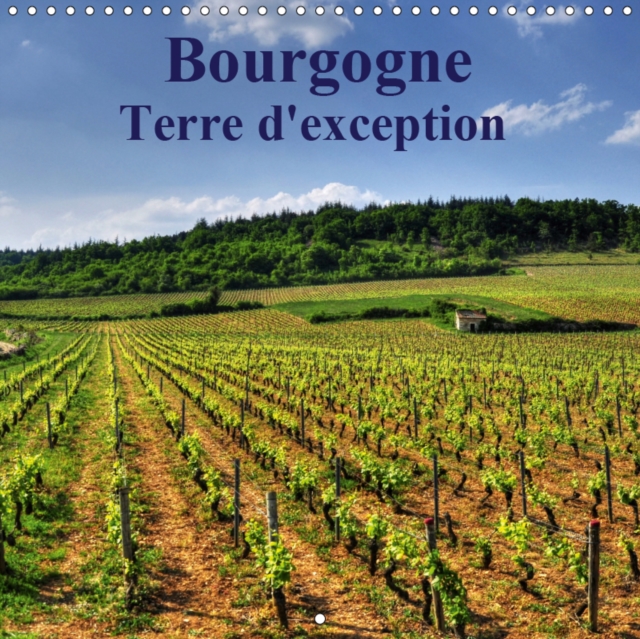 Bourgogne Terre d'exception 2019 : La Bourgogne magnifique region aux vignobles reputes, Calendar Book